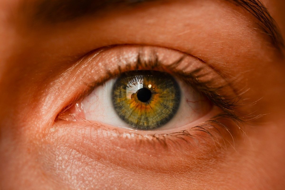 Oczy to wyrafinowany organ. To otóż to dzięki nim odczuwamy.